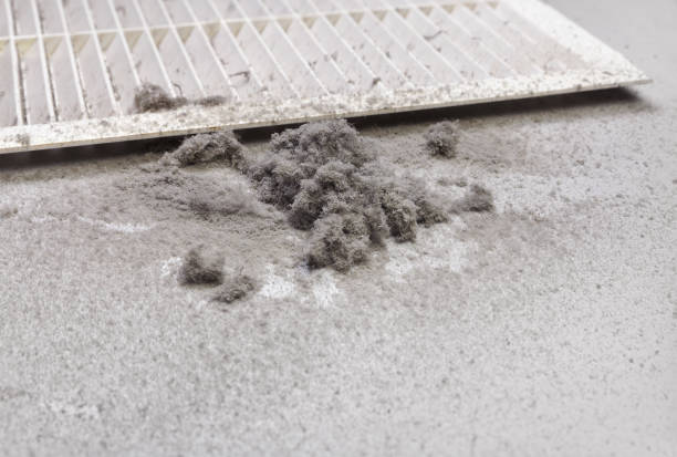 Best Air Duct Sanitizing Services  in Tustin, CA