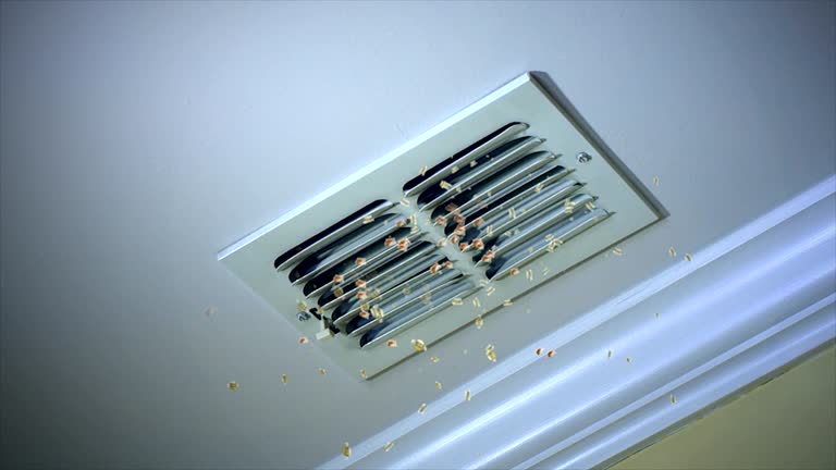 Best Ductwork Cleaning Services  in Tustin, CA